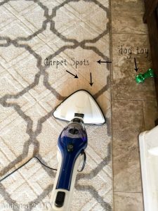 chemical-free-carpet-cleaning
