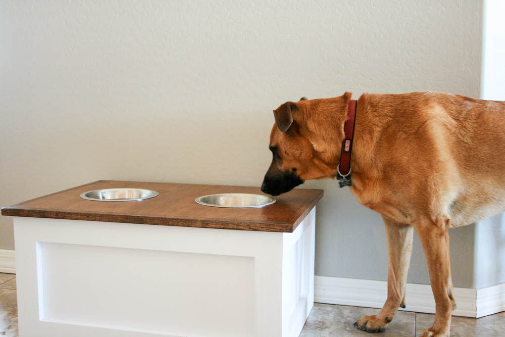 DIY Raised Dog Bowl with Storage! 