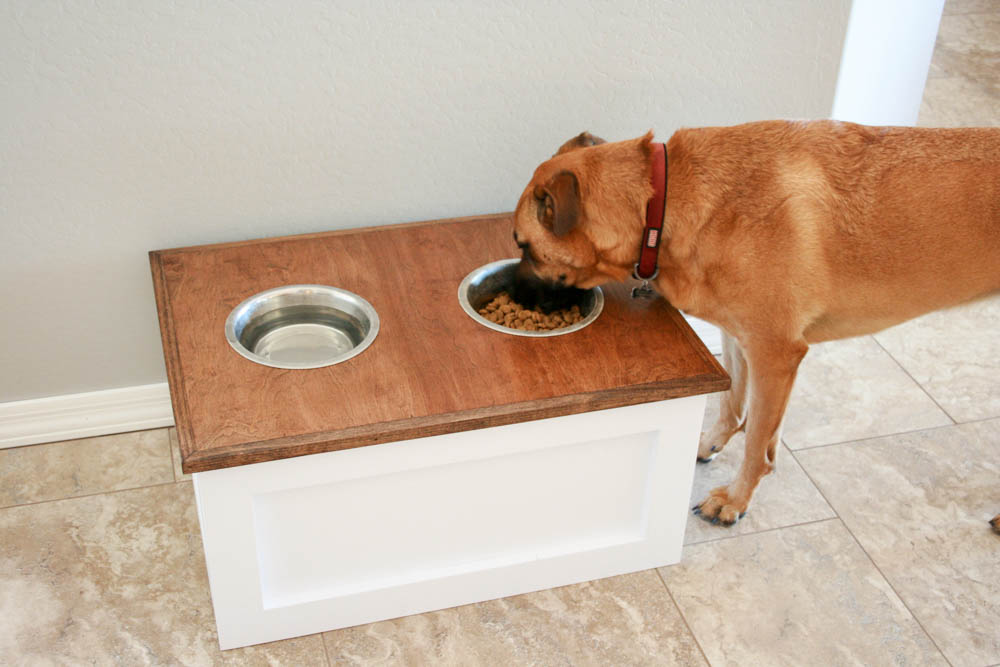 Dog food station with storage