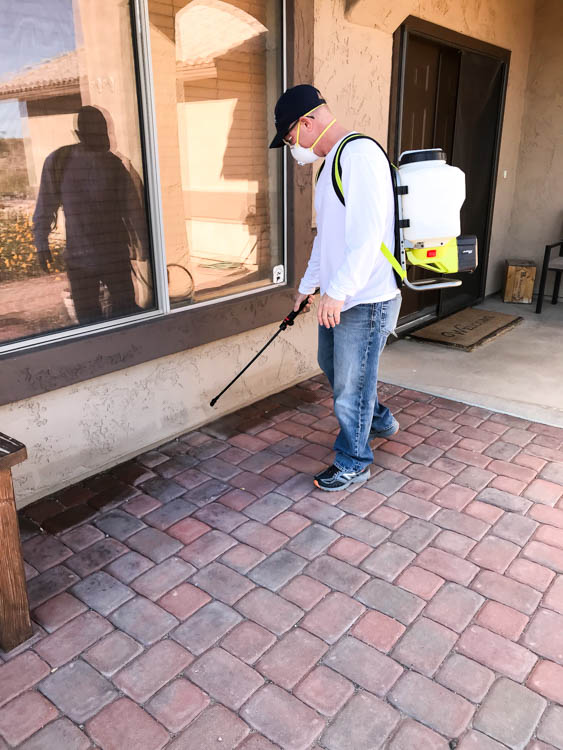 Spraying For Bugs with the RYOBI 18v backpack sprayer