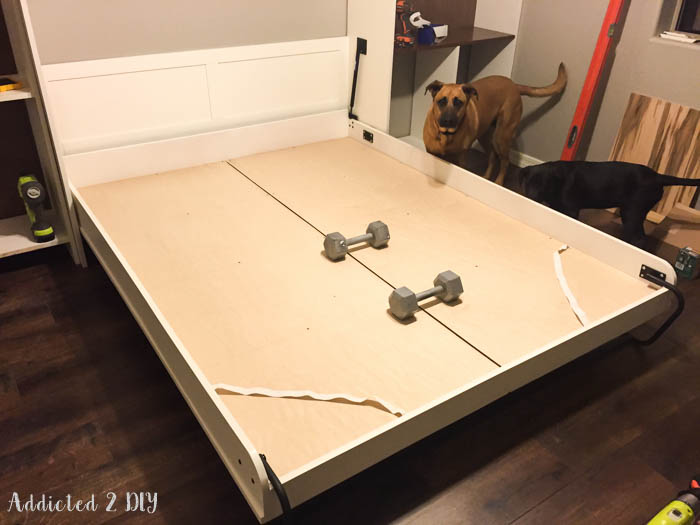 Murphy bed platform lowered with weights holding it in place during installation