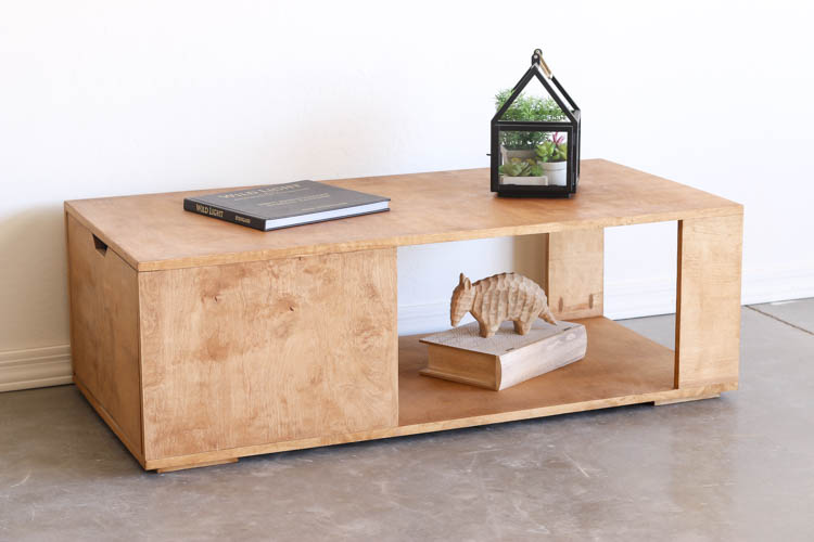 DIY Modern Coffee Table with Storage