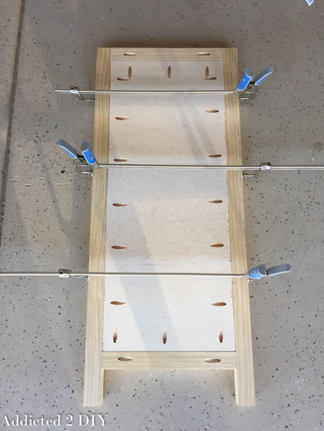 Plywood side panels clamped to 2x2 pine frame with pocket holes drilled, ready to be attached with pocket screws