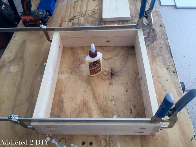 Top-down view of a clamped pine drawer box with a bottle of Gorilla Wood Glue inside, ready to have the plywood bottom attached