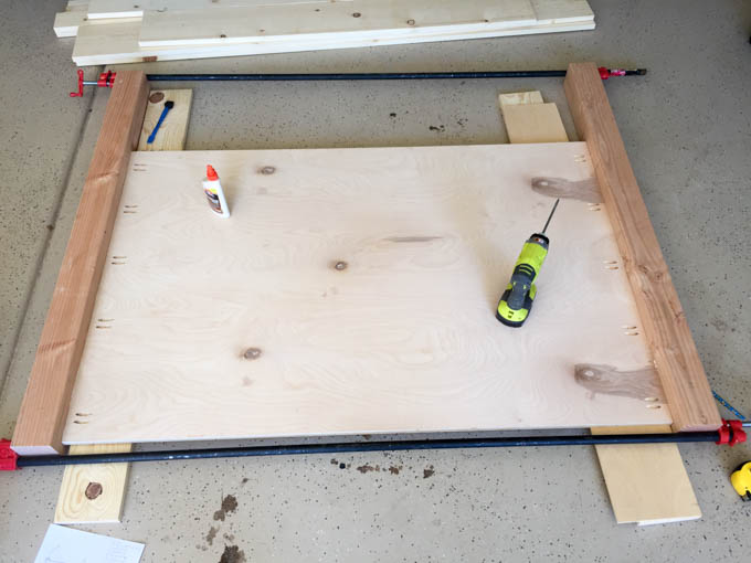 Overhead view of 3/4 inch plywood headboard backing clamped to 4x4 legs with pocket screws and wood glue during bed frame assembly